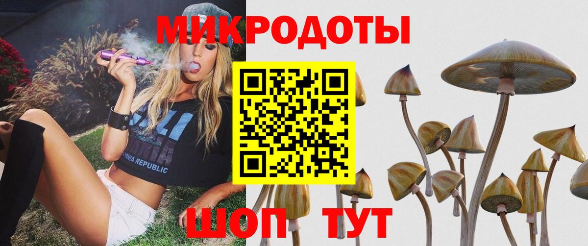 Псилоцибиновые грибы мицелий  Вход с VPN  Троицк 